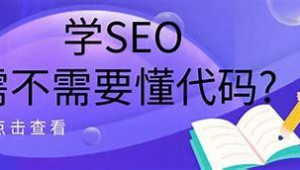 学seo技术能赚钱么（学seo容易吗）
