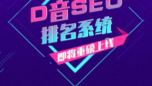 合肥抖音推广公司（抖音seo公司）