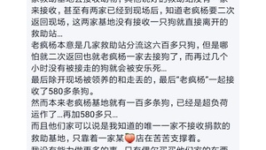 达州流浪狗基地（达州宠物救助站电话号码）