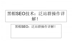 小说泛目录站群程序—x2版（泛目录站群原理）