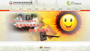 宝鸡网站优化_宝鸡网络推广公司