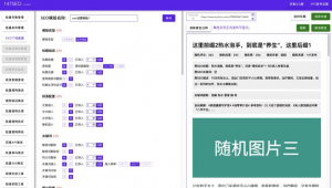 快排seo软件 site