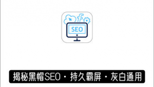 seo黑帽是什么意思（列举几种seo黑帽行为）