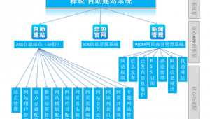 自建站 站群