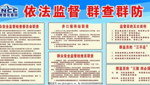 井口群监站的职责范围（井口群监站的职责有哪些）