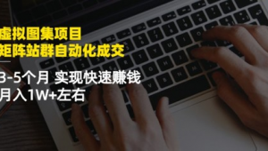 站群如何盈利（站群盈利模式）