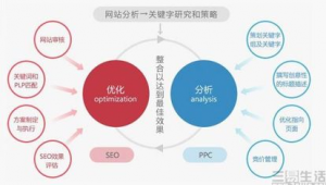 网站优化效果评估的内容有哪些_网站评估实例