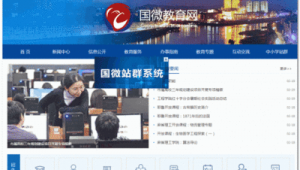 国微集团官网（国微集团加班吗）