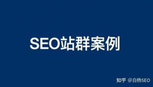 站群赚钱吗（2021站群程序）