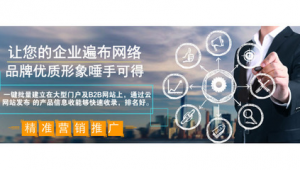 莱芜seo公司_莱芜网站