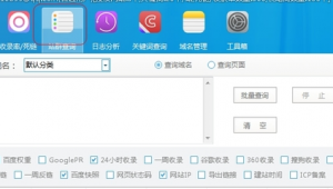 爱站工具包 站群版本