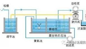 污水站菌种（污水处理菌种的作用）