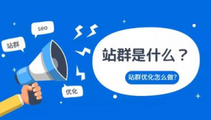 群推广方案_站群营销