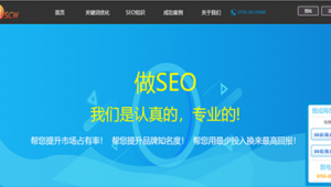 随州seo外包软件有哪些（柳州seo外包费用）