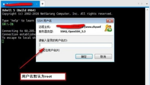 php非拼音二级域名站群演示