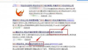 价格划算的百度快排seo（百度快排技术）