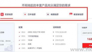 站群服务器多ip怎么使用（站群服务器搭建）