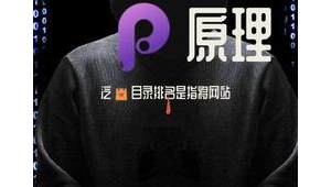 黑帽seo 站群赚钱