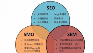 站群有什么好处（站群是什么）