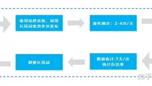 站群如何搭建