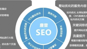 seo黑帽怎么赚钱（seo 推广平台）