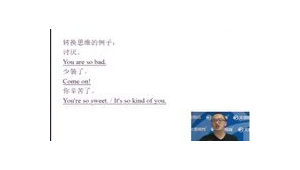 2016英文站群