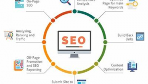 seo网站排名的软件叫什么（seo网站排名查询）