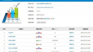 站群排名技术（站群seo技巧）