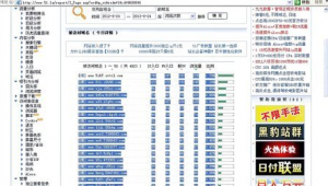 泛站群程序（泛泛平台是什么?）