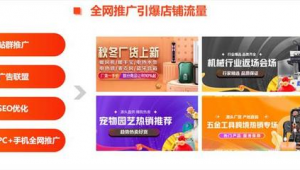 站群 广告联盟