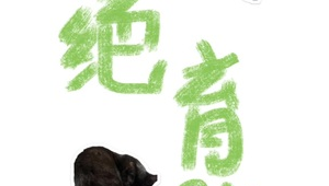 黑帽猫咪特效软件叫什么来着（黑帽子男生和猫头像）