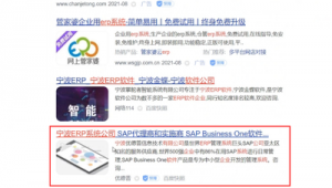 百度seo标题优化软件有哪些（百度seo如何优化）