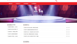 站群有什么用（站群系统的优劣）
