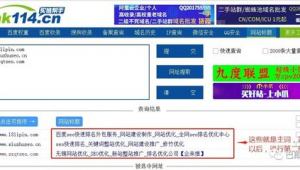 站群发布（新站怎么能实现快速收录）