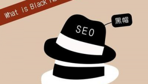 黑帽seo软件演示