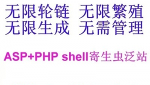 shell 站群