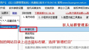 站群 网站 区别