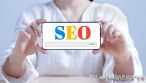 seo搜索排名优化（seo排名优化什么意思）