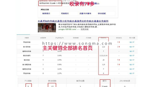 竞价微信群（竞价排名与seo的投入收益对比分析）