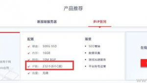站群服务器 多c段