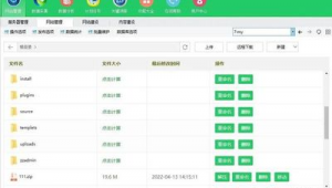 站群优化系统（站群优化原理）