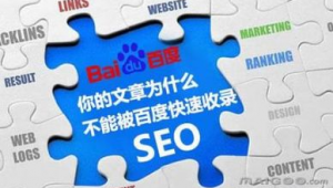 百度快速seo软件怎么样（百度快速seo软件下载）