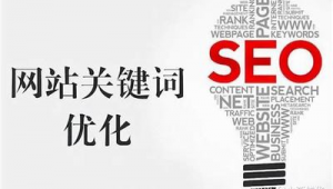 seo关键词优化软件app（搜索引擎关键词优化系统）