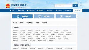 学校门户网站是什么意思（高校网站群）