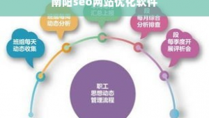 seo流量的提升的软件流程是什么（seo网站流量）