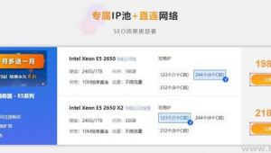 站群服务器什么意思（站群服务器能建多少个网站）
