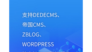 云站群