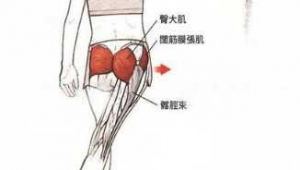 站姿水平外展（站姿腿外展练哪里）