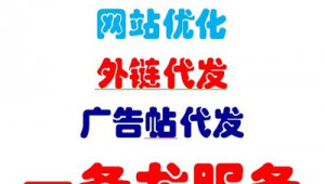 泛站群代做收录（泛站群推广）