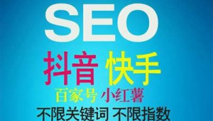 seo排名点击 seo查询（seo点击排名算法）
